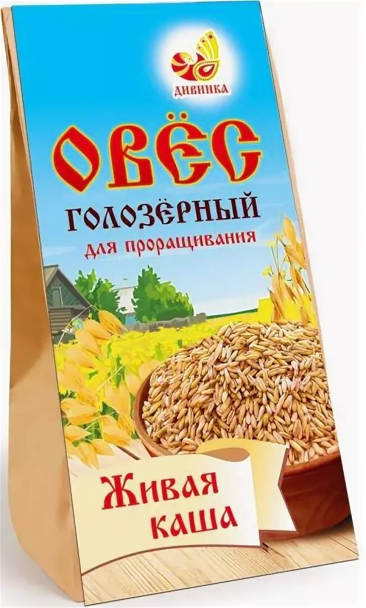 овёс голозёрный.